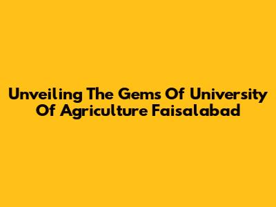 Unveiling The Gems Of University Of Agriculture Faisalabad