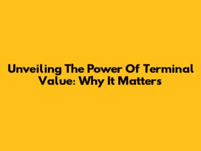 Unveiling The Power Of Terminal Value: Why It Matters