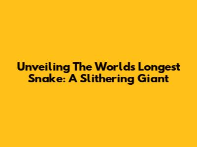 Unveiling The World's Longest Snake: A Slithering Giant