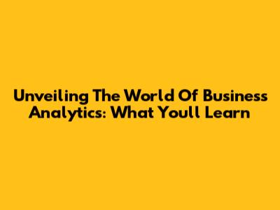 Unveiling The World Of Business Analytics: What You'll Learn