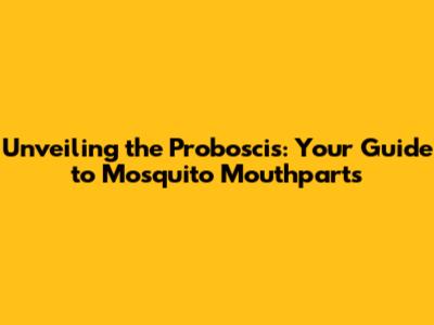 Unveiling the Proboscis: Your Guide to Mosquito Mouthparts