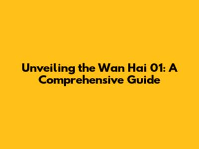 Unveiling the Wan Hai 01: A Comprehensive Guide