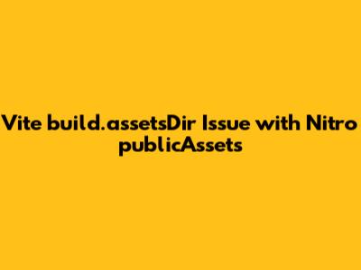 Vite `build.assetsDir` Issue with Nitro `publicAssets`