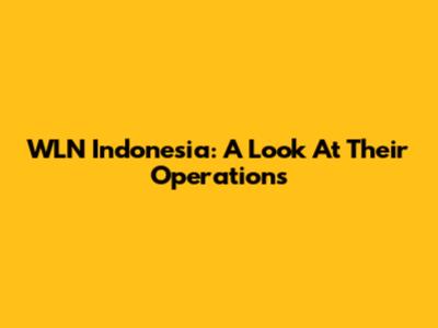 WLN Indonesia: A Look At Their Operations
