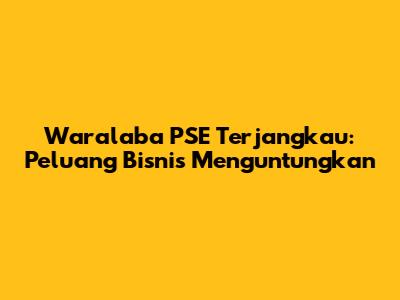Waralaba PSE Terjangkau: Peluang Bisnis Menguntungkan
