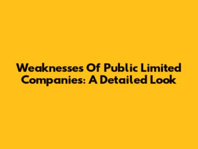 Weaknesses Of Public Limited Companies: A Detailed Look