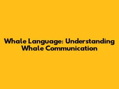 Whale Language: Understanding Whale Communication