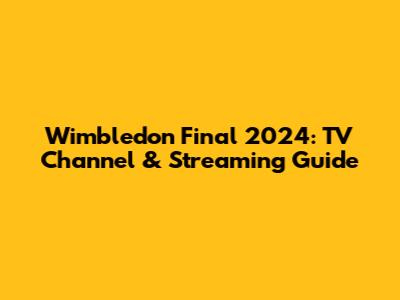 Wimbledon Final 2024: TV Channel & Streaming Guide