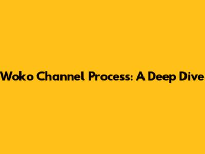 Woko Channel Process: A Deep Dive
